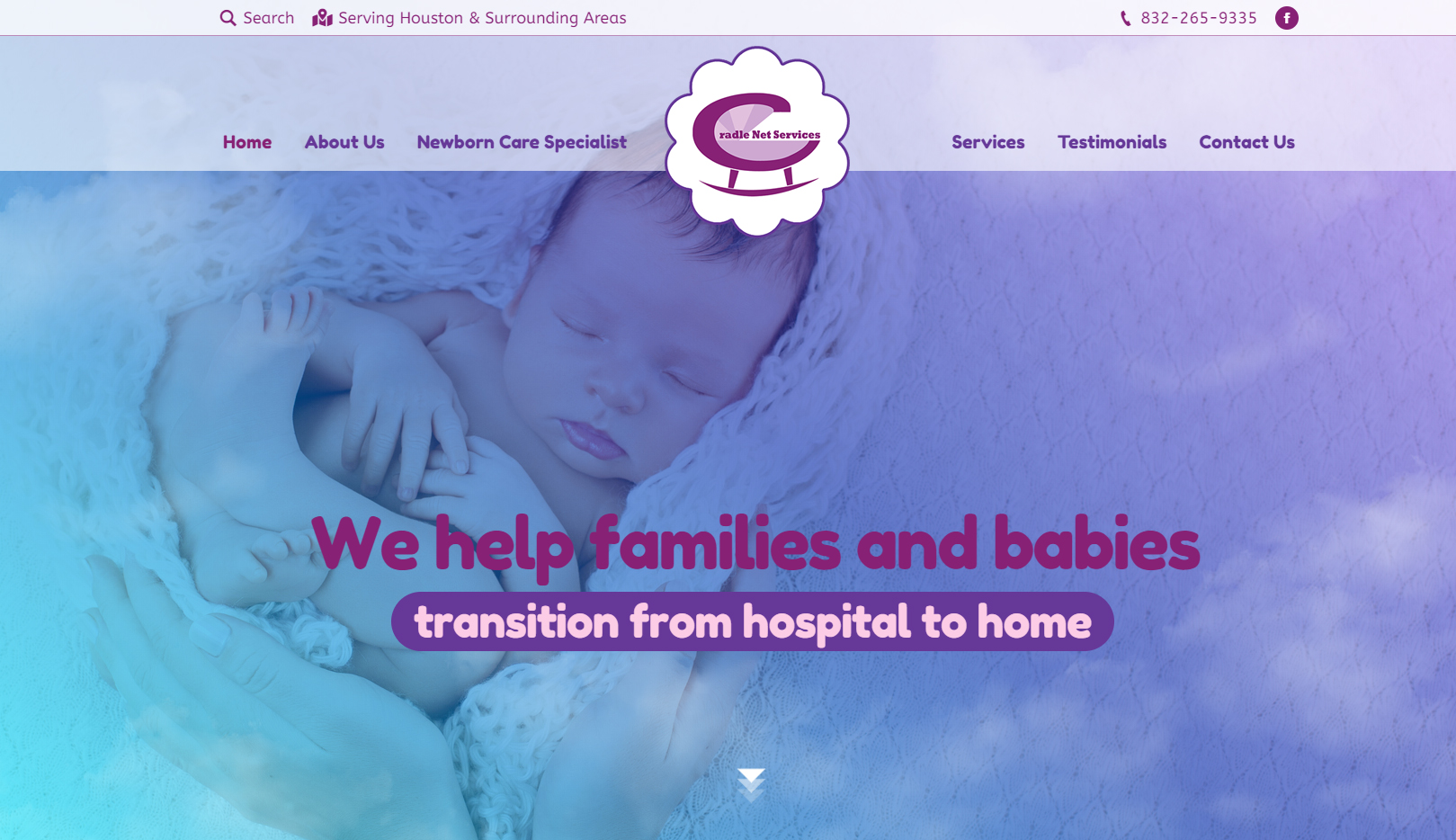 Newborn Care Specialist & Babysitting Service Cradle Net Services